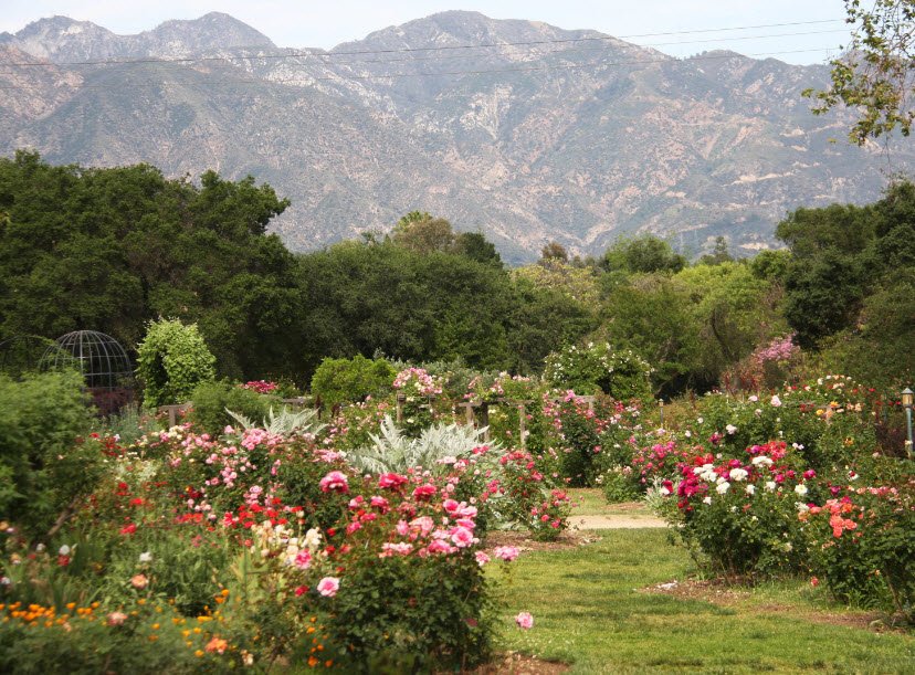Descanso Gardens, United States